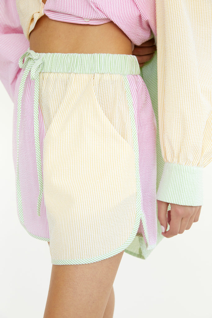 Eliza Faulkner Designs Inc. Shorts Candy Stripe Seersucker Bailey Shorts